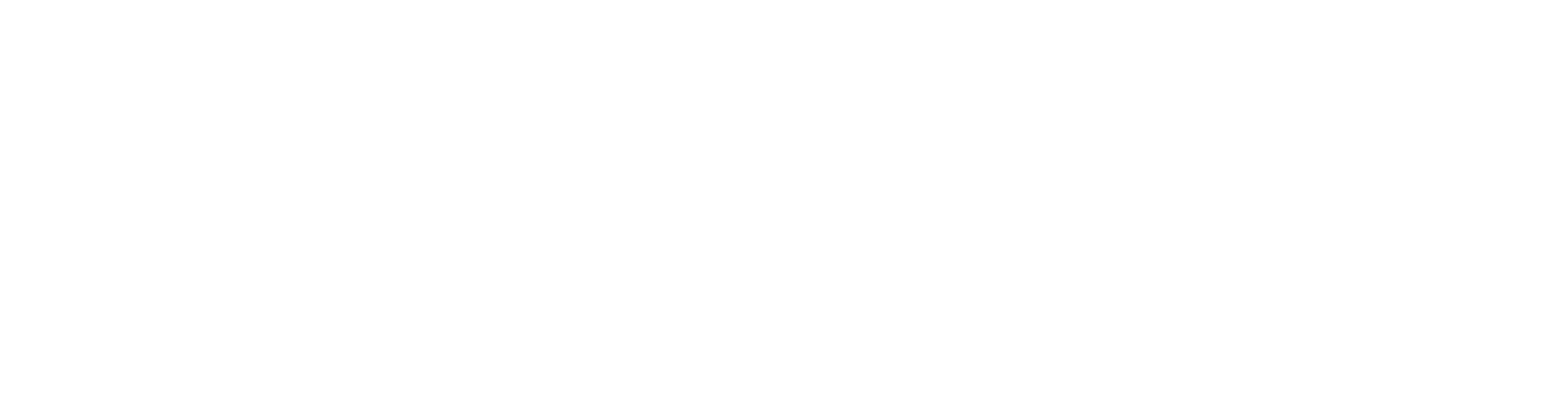 SkyLane logo white